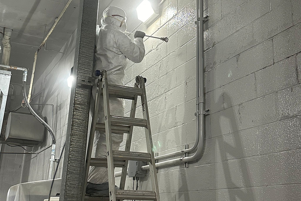 Service - Painting and Wall Covering - 1